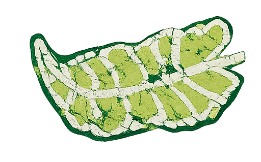 ALOCASIA